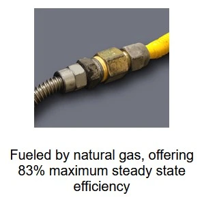 Empire 36 Inch Tahoe Premium Direct Vent Fireplace - Millivolt 9 Empire 36 Inch Tahoe Premium Direct Vent Fireplace - Millivolt - Image 7