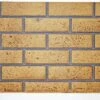 Napoleon Decorative Brick Panels For 42 Inch Ascent X Fireplace