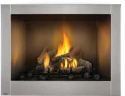 Napoleon Riverside Series 42' Clean Face Outdoor Stainless Steel Gas Fireplace - GSS42CFN