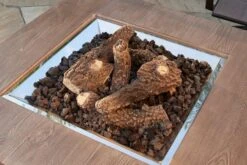 Outdoor Greatroom Company Outdoor Ceramic Fiber Gas Log Set